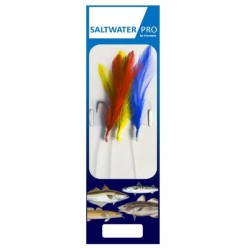 Red Yellow Blue Feather...