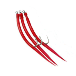 Shamrock Red Wreck Eels