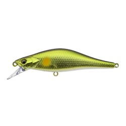 Timon Tricoroll 61S Gold...