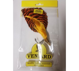 Veniard Golden Pheasant Complete Head