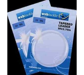 WSB Tapered Leader 5X4lb