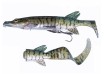 Savage Gear 3D Hybrid Pike,size: 25cm, 130g., Hook:1/0+2/0,