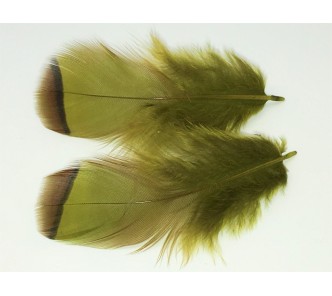 Veniard French Partridge Dyed Olive