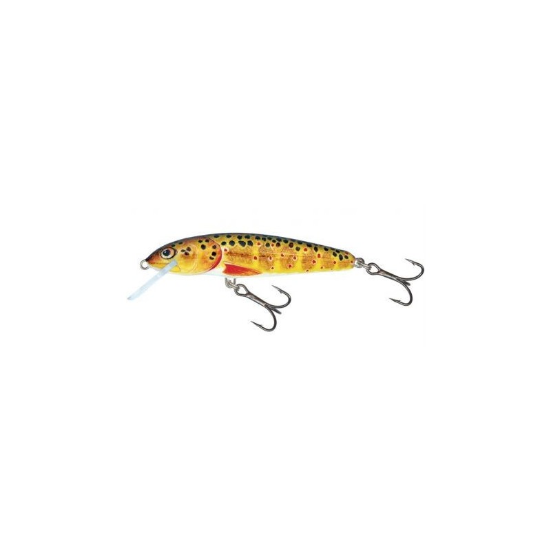 Salmo Floating MINNOW Trout 5cm, 3g.,- 2" 1/16oz/ QMW006