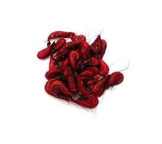 Fresh Dyed Shrimp Red