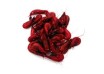 Fresh Dyed Shrimp Red
