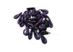 Fresh Dyed Shrimp Purple