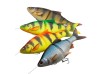 Savage Gear 4D Line Thru Roach  18cm/ 86g /Moderate Sink/Golden Ambulance