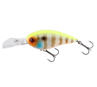 Jackall Digle 5+ Chartreuse Back BlueGLL