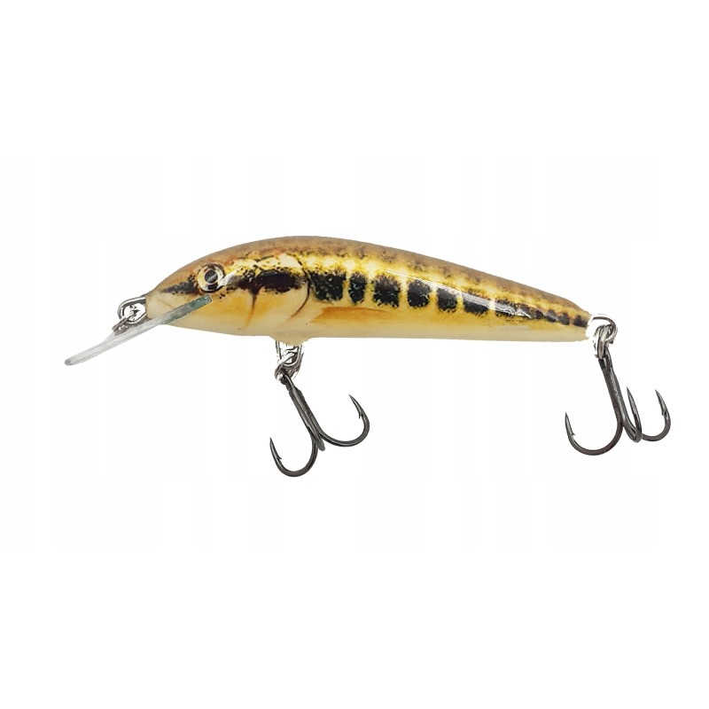 Salmo SINKING Minnow 7  Minnow  7cm, 8g.,- 2-3/4" 1/4 oz/ QMW031
