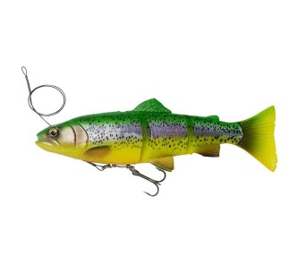 SG 4D Line Thru Trout 25cm/180g/ Slow Sink/ 04-Fire Trout