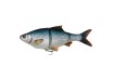 25cm/ 216g - Sinking - 4D Line Thru Roach - Savage Gear