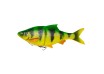25cm/ 216g - Sinking - 4D Line Thru Roach - Savage Gear