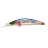 Timon Tricoroll GT 56SR-F Ecchu Yukishiro Blue Back