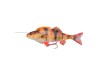 23cm/145g - 4D Line Thru Perch - Savage Gear